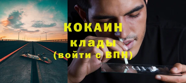 хмурый Арсеньев