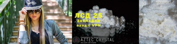 хмурый Арсеньев