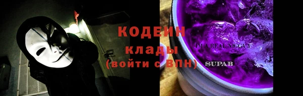 хмурый Арсеньев