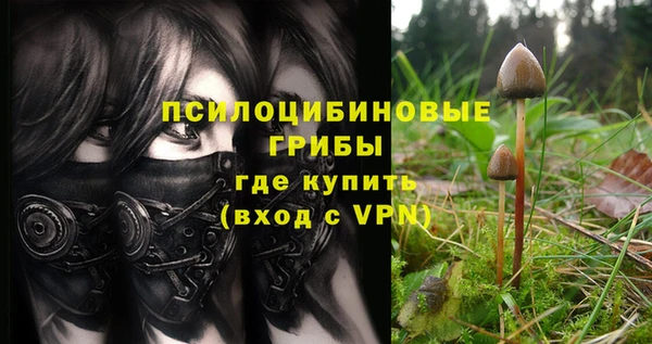 каннабис Аркадак