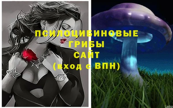 хмурый Арсеньев