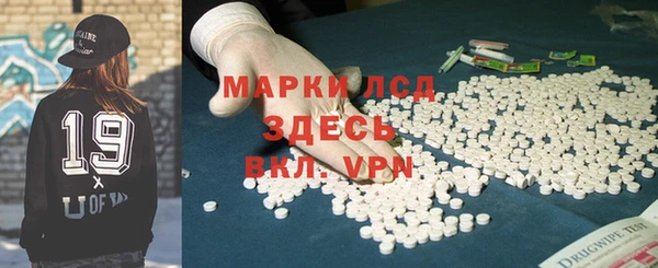 хмурый Арсеньев