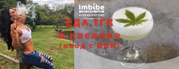 хмурый Арсеньев