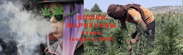 хмурый Арсеньев