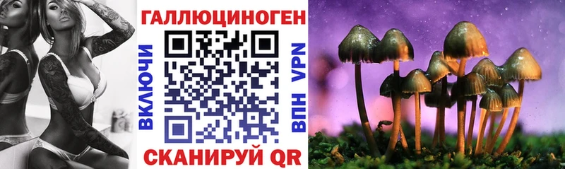 Псилоцибиновые грибы GOLDEN TEACHER  Солнечногорск 